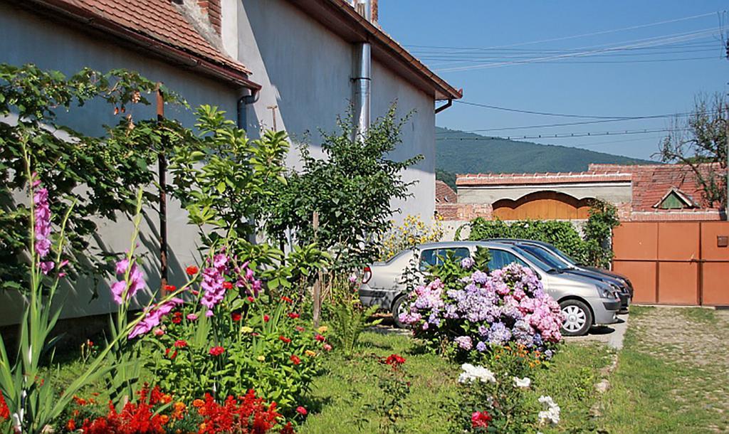 Pensiunea Bendorfeanu Rasinari Exterior foto