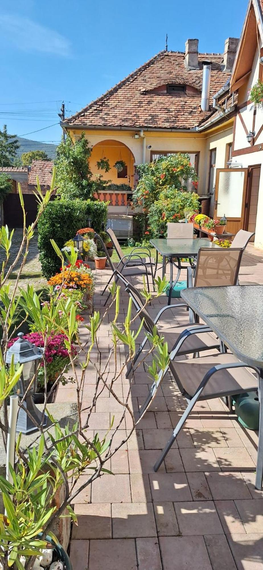 Pensiunea Bendorfeanu Rasinari Exterior foto