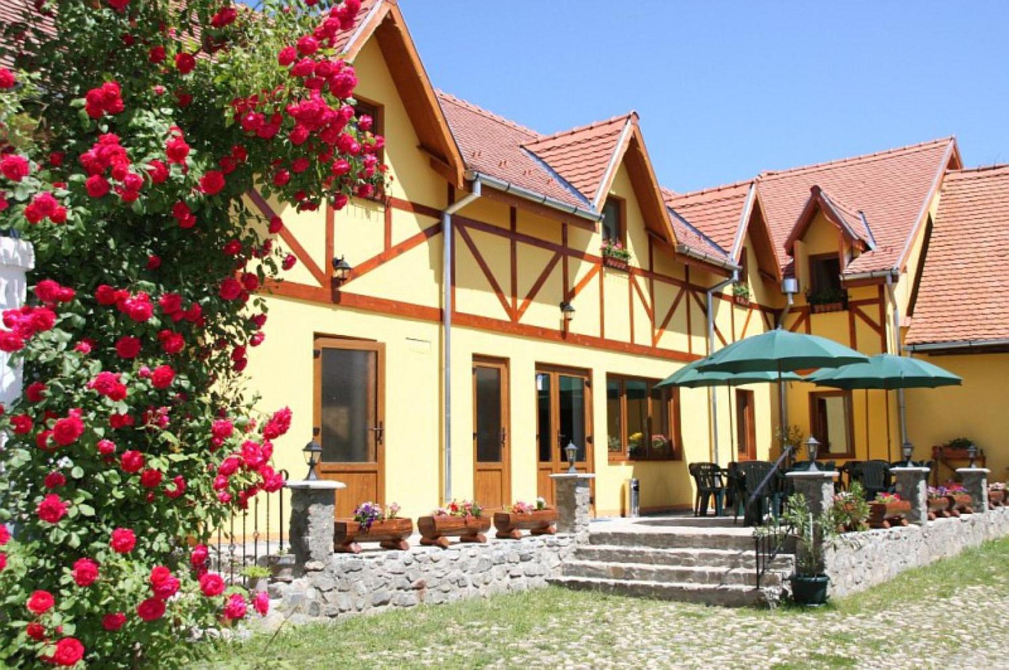 Pensiunea Bendorfeanu Rasinari Exterior foto