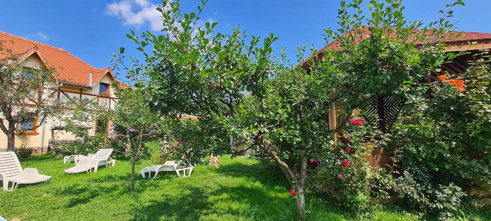 Pensiunea Bendorfeanu Rasinari Exterior foto