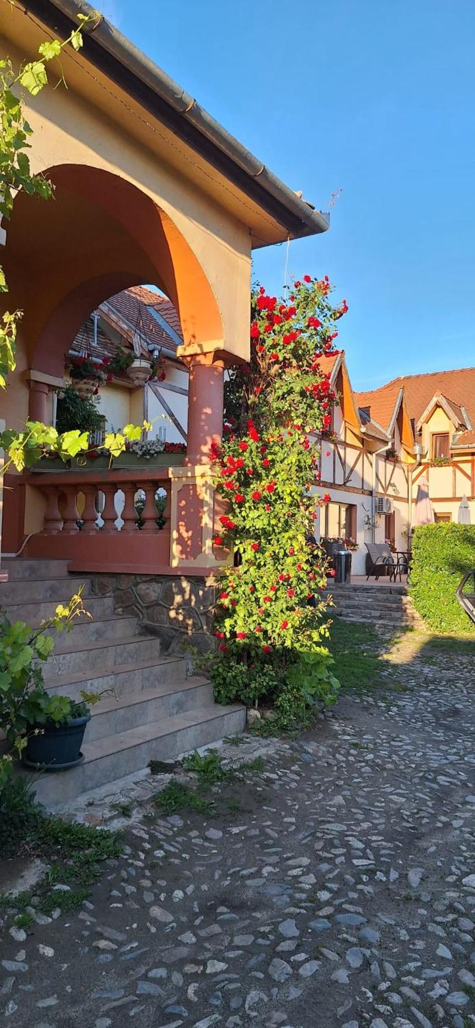 Pensiunea Bendorfeanu Rasinari Exterior foto