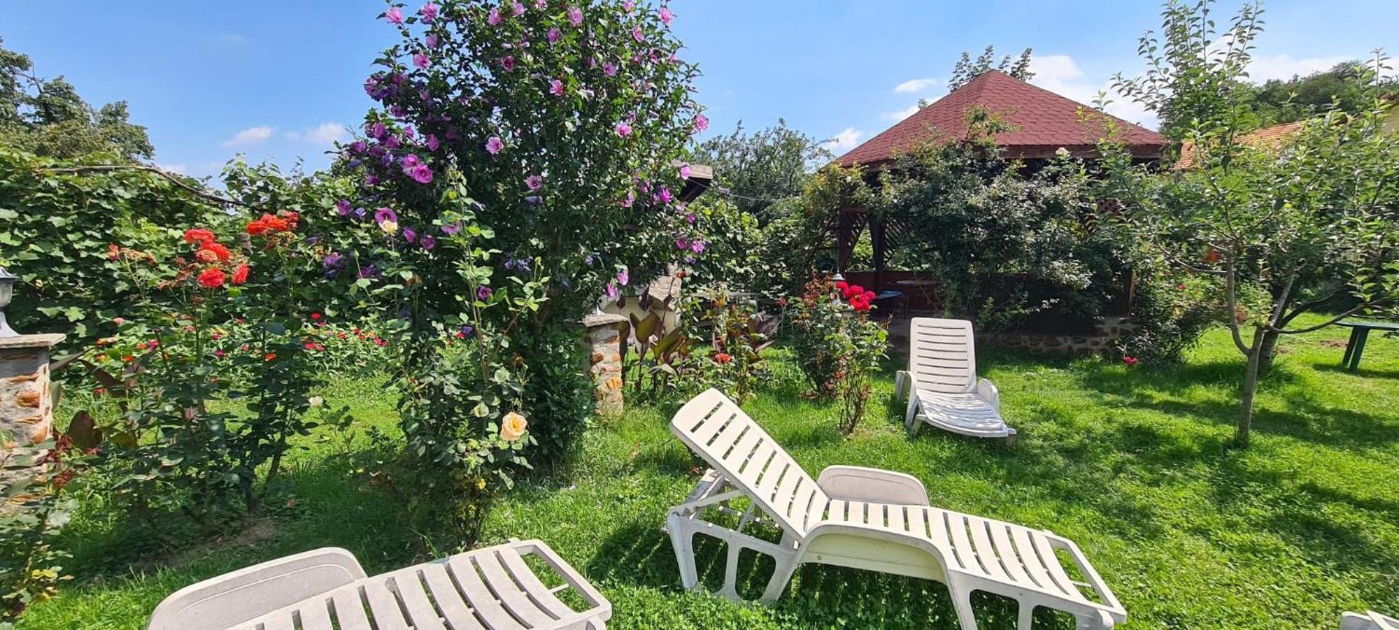 Pensiunea Bendorfeanu Rasinari Exterior foto